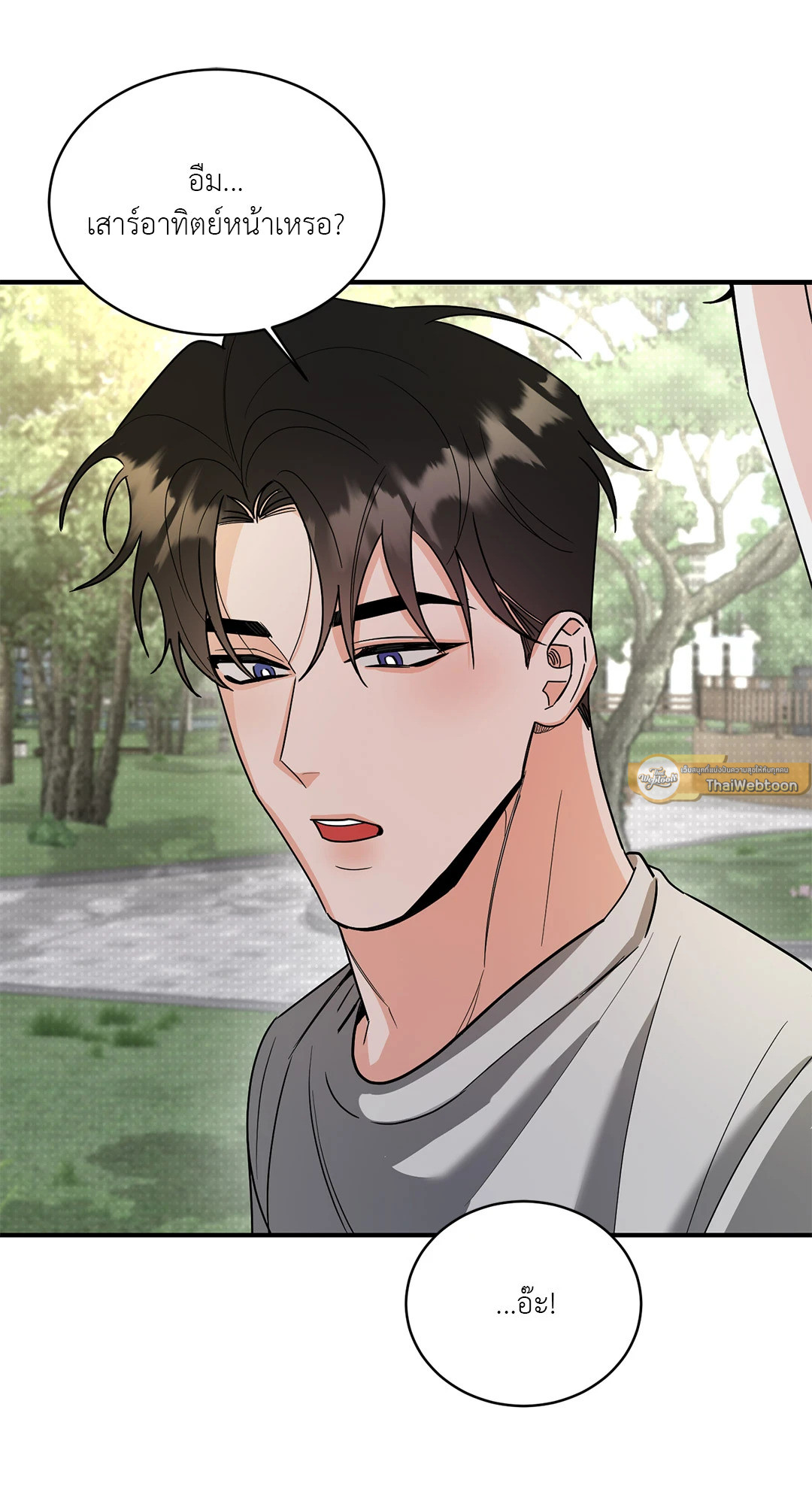 หน้า 30