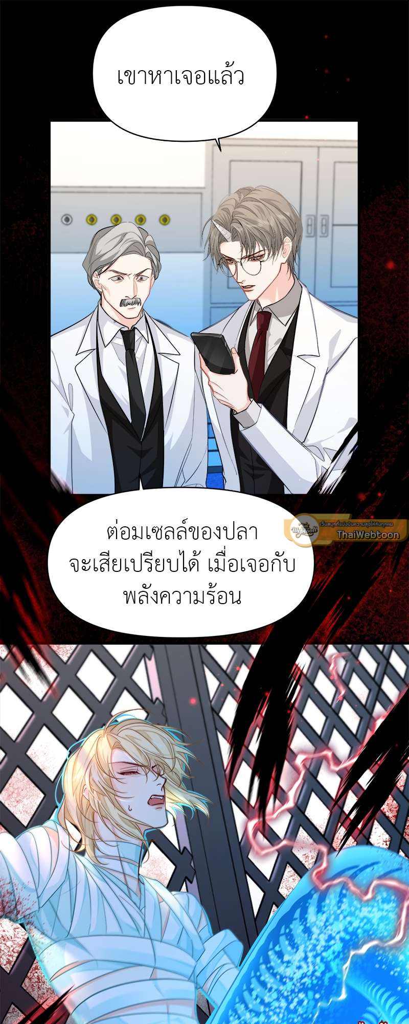 หน้า 29