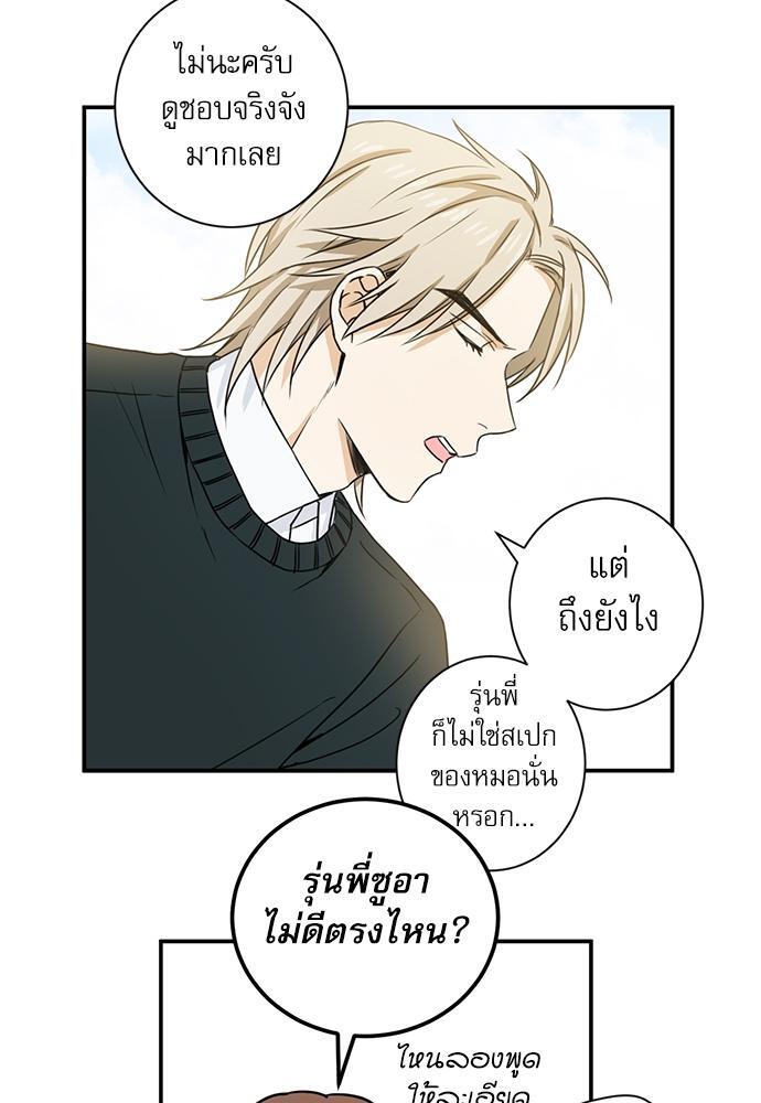หน้า 29