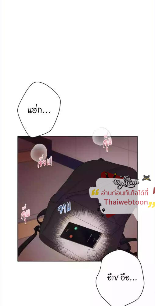 หน้า 81
