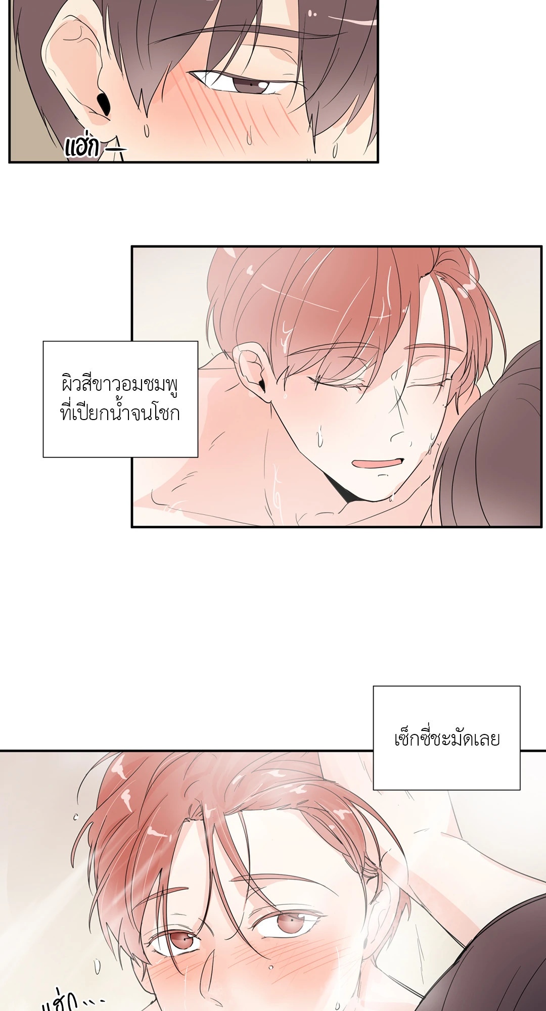 หน้า 29