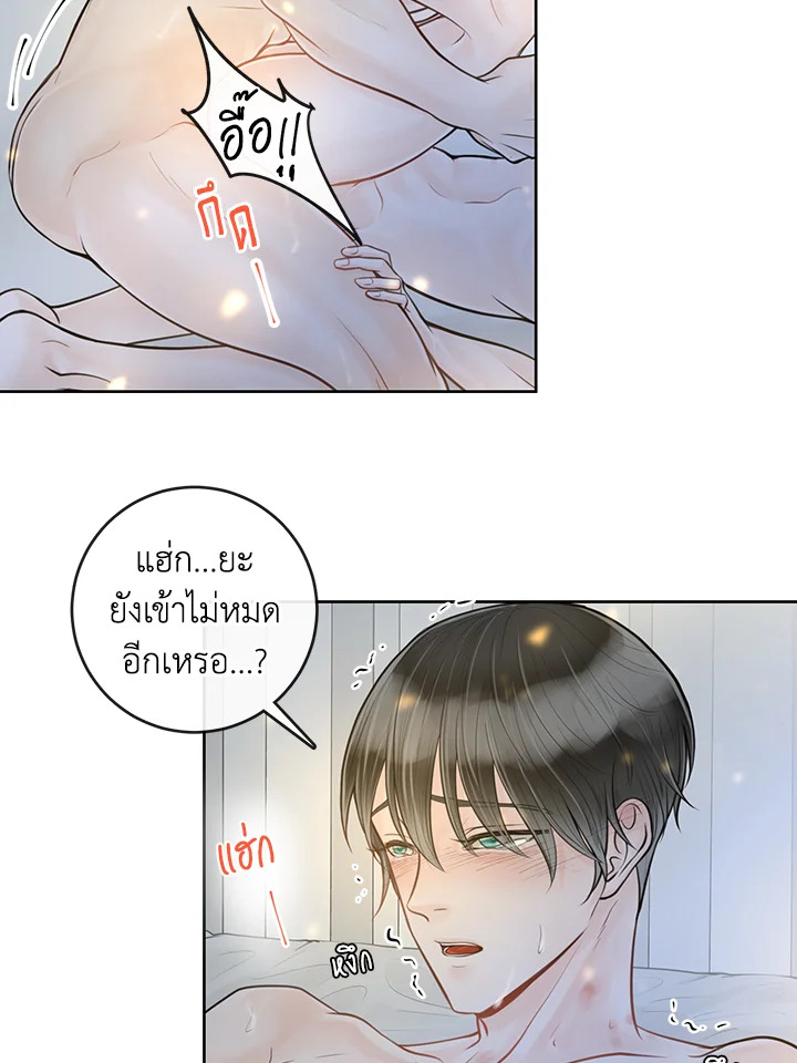 หน้า 31