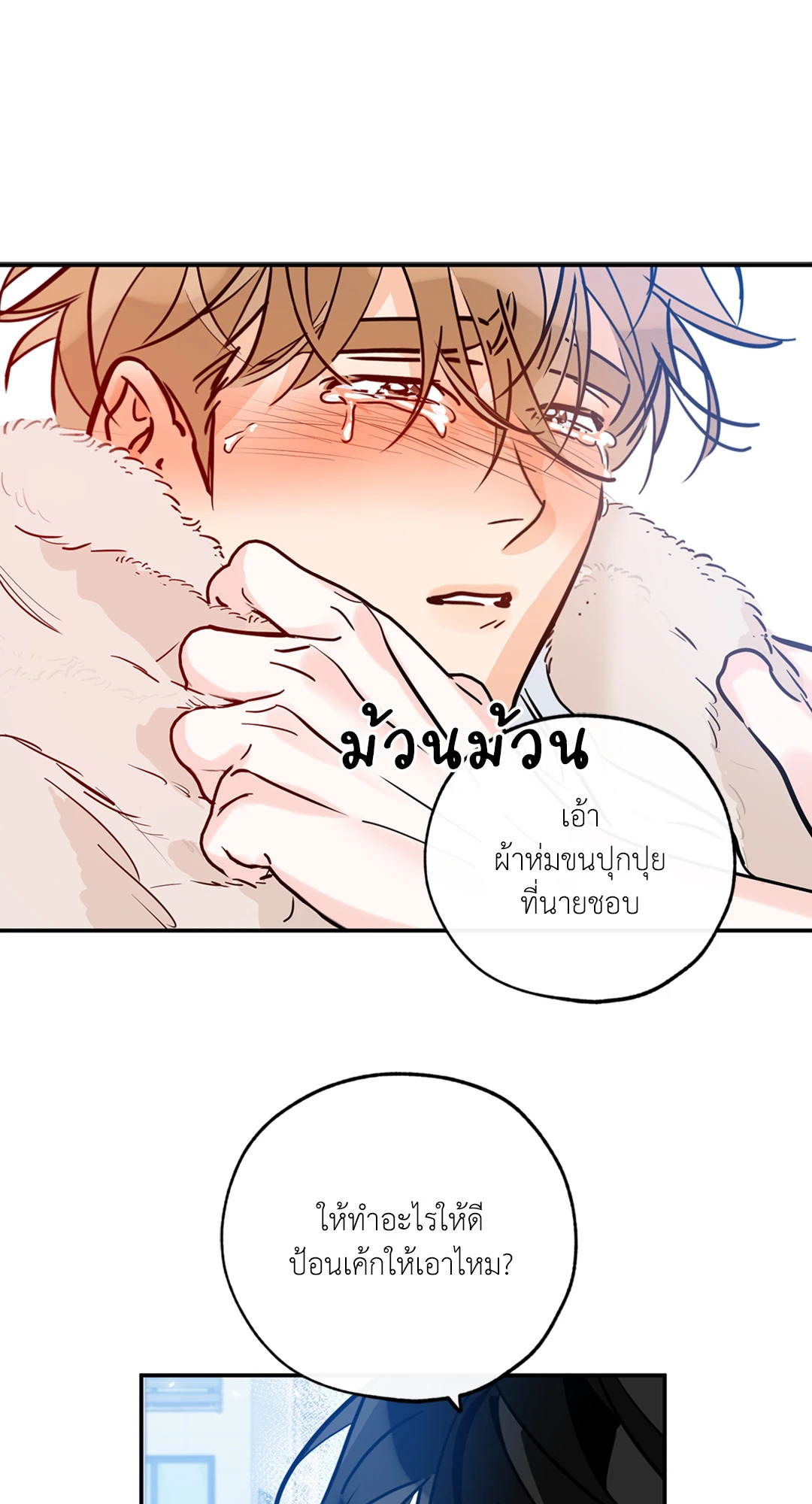 หน้า 29