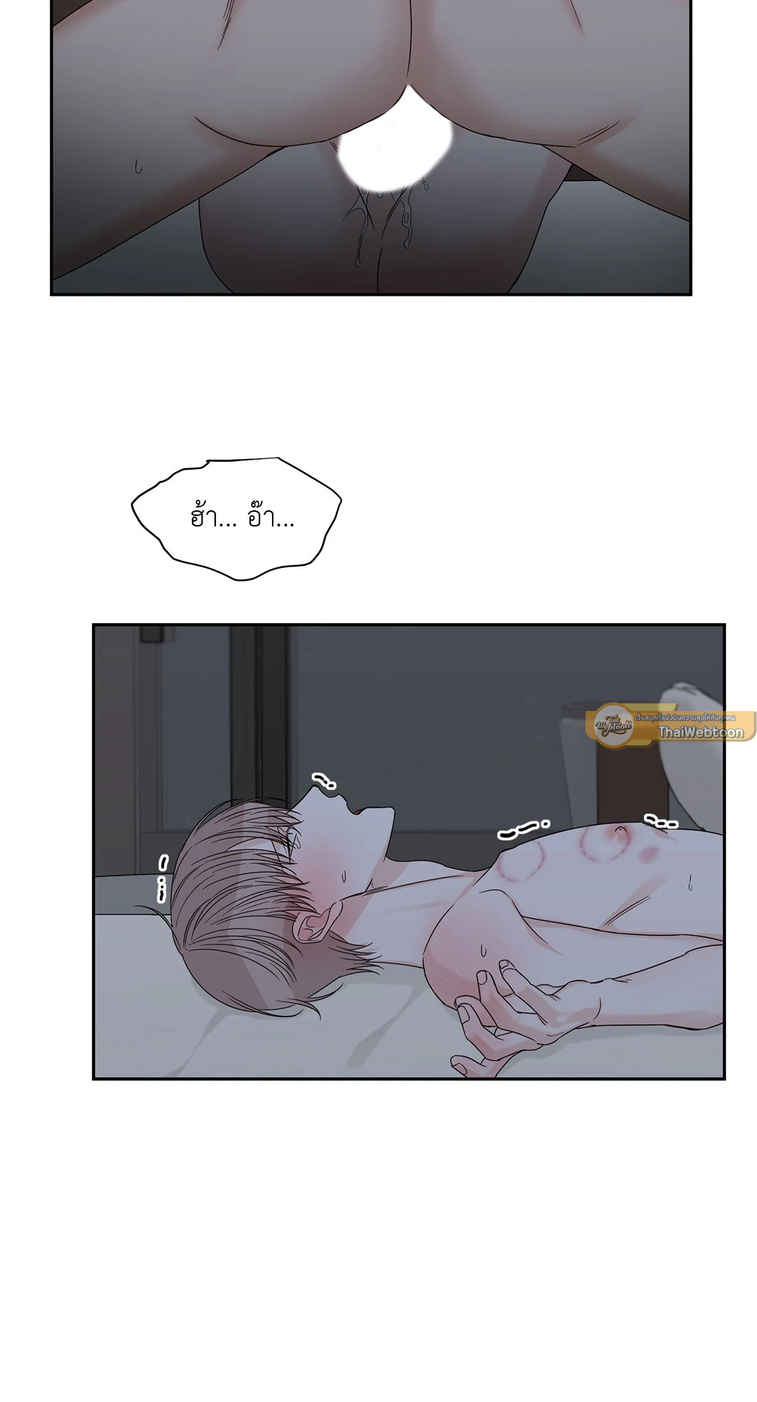 หน้า 42