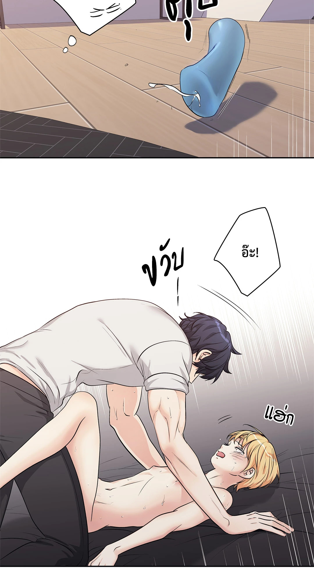 หน้า 43