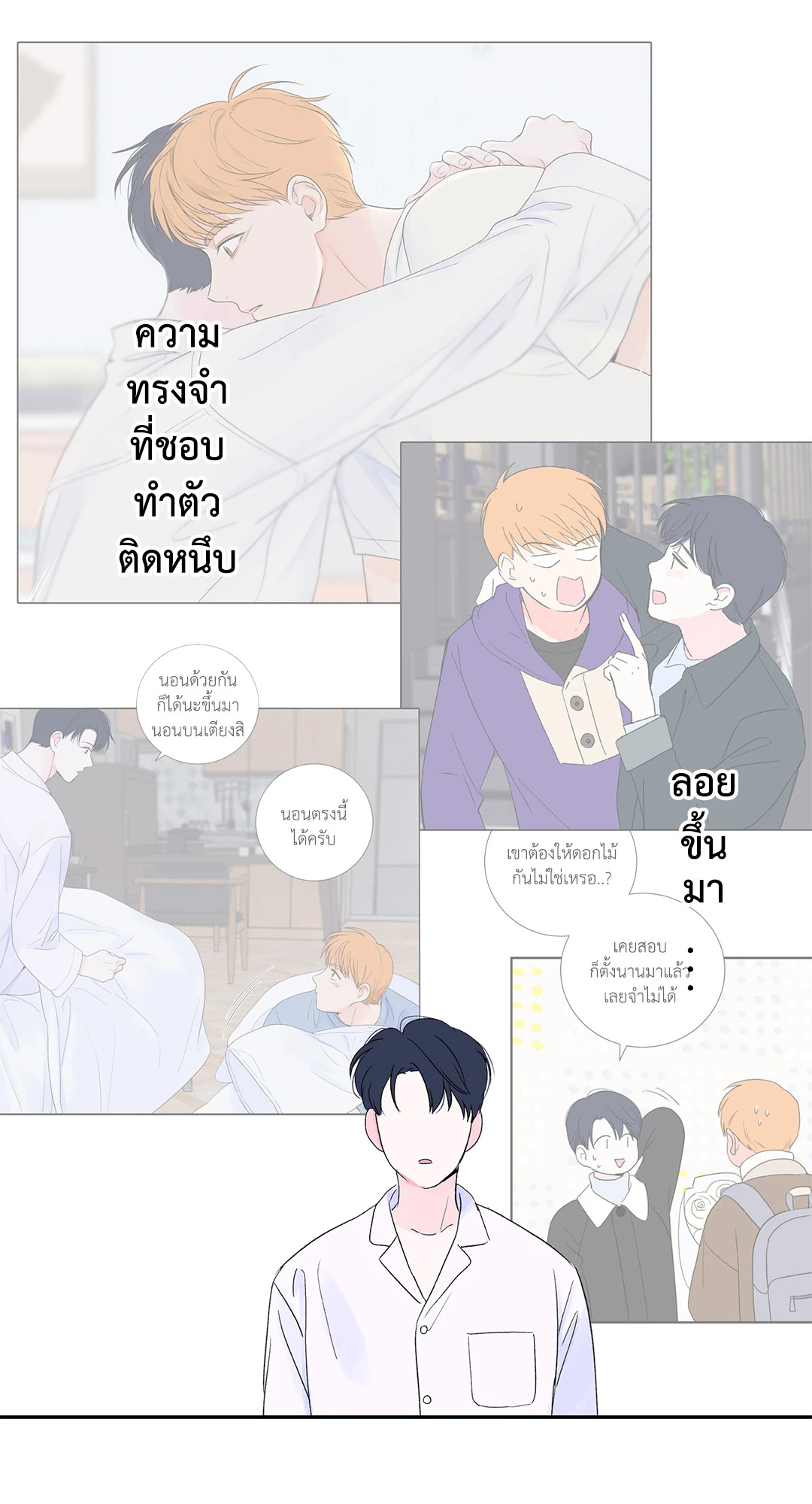 หน้า 29