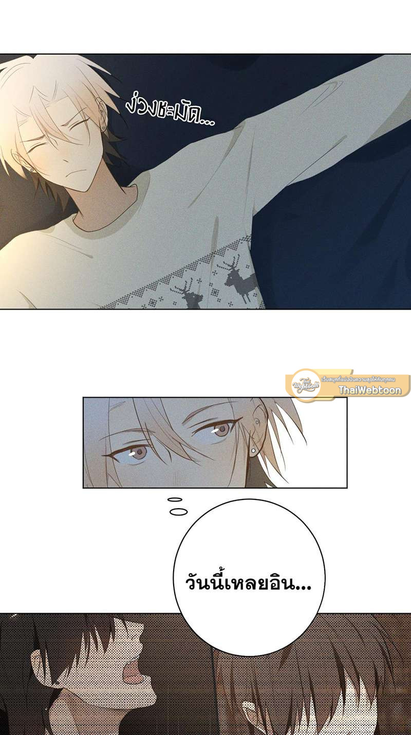 หน้า 41