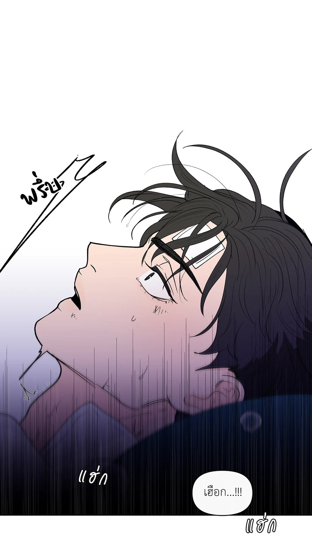 หน้า 43