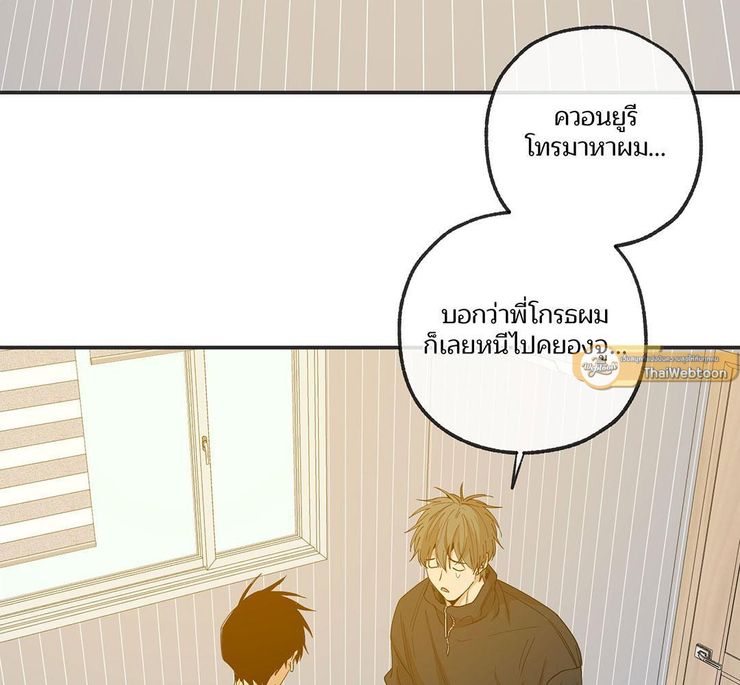 หน้า 117