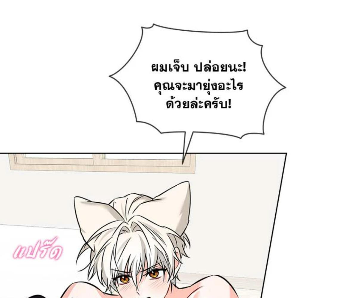 หน้า 97