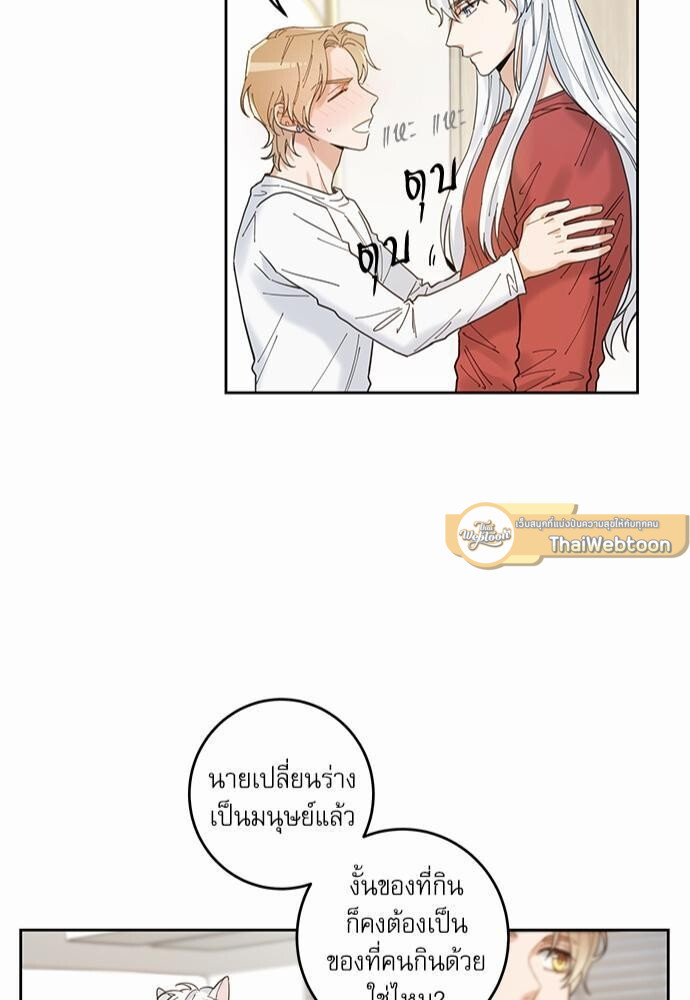 หน้า 43