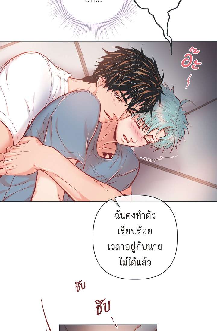หน้า 29