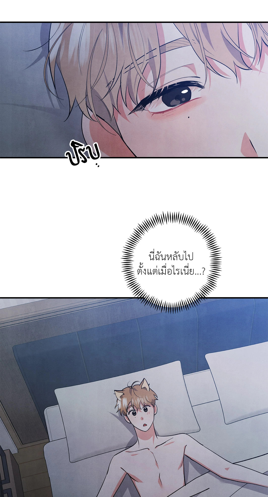 หน้า 48