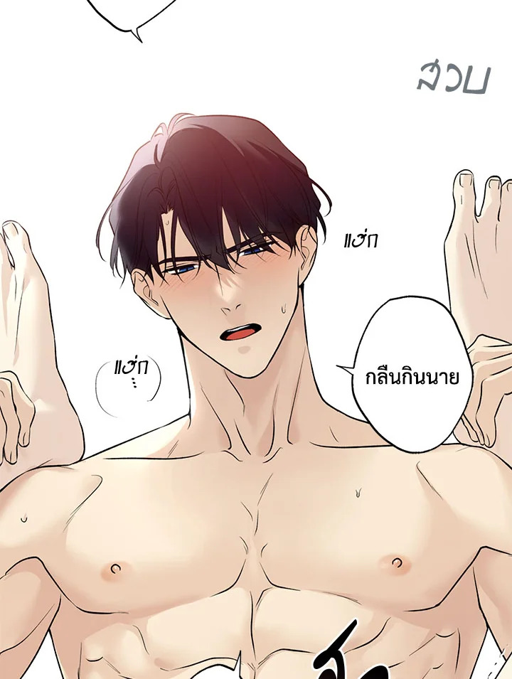 หน้า 41