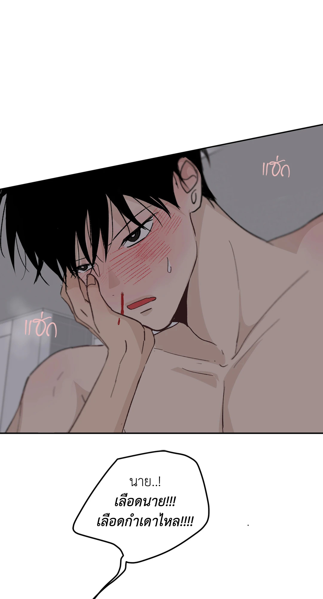 หน้า 46