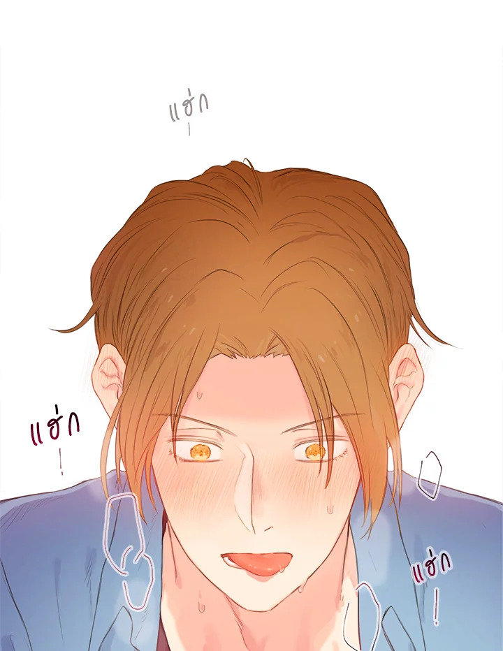 หน้า 61