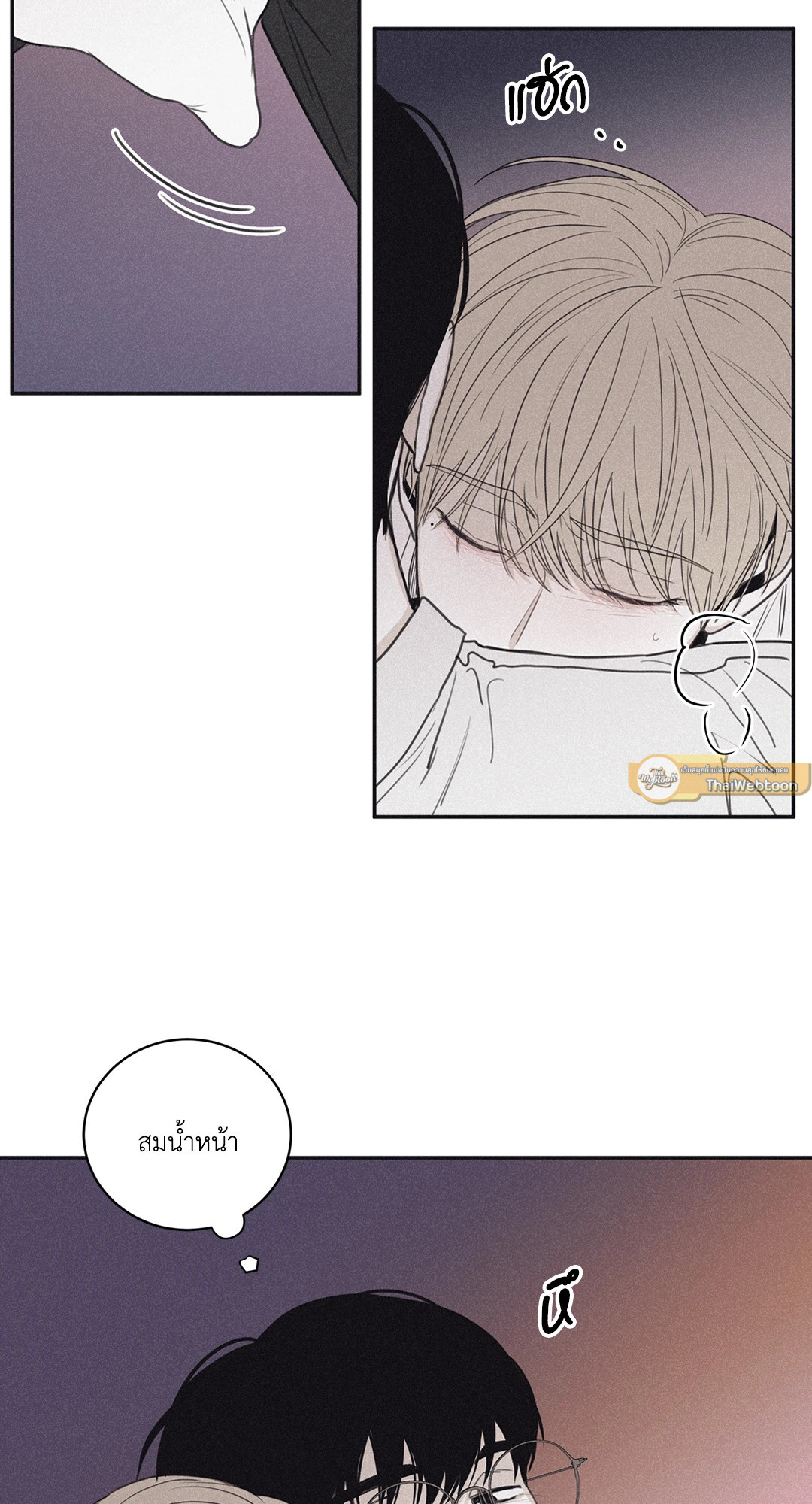 หน้า 29