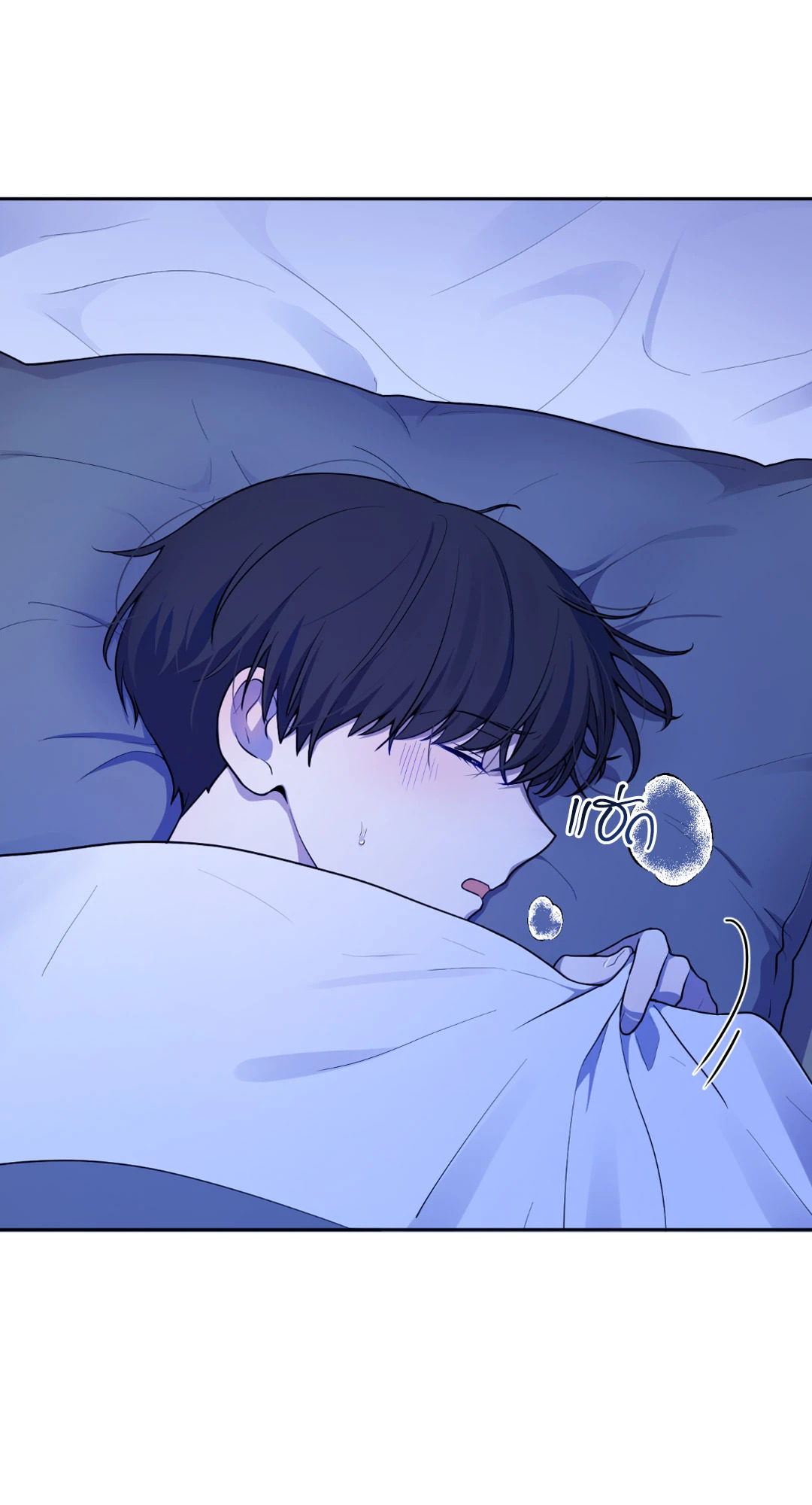 หน้า 29