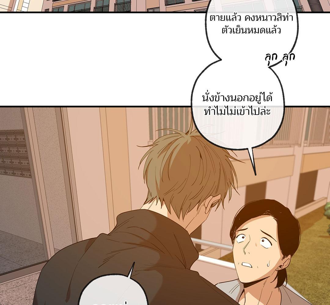 หน้า 113