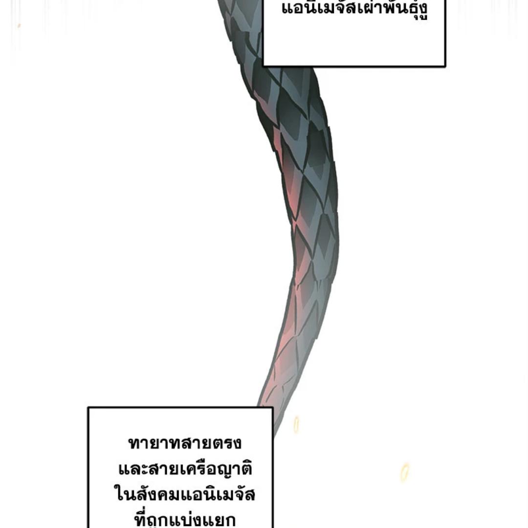 หน้า 102