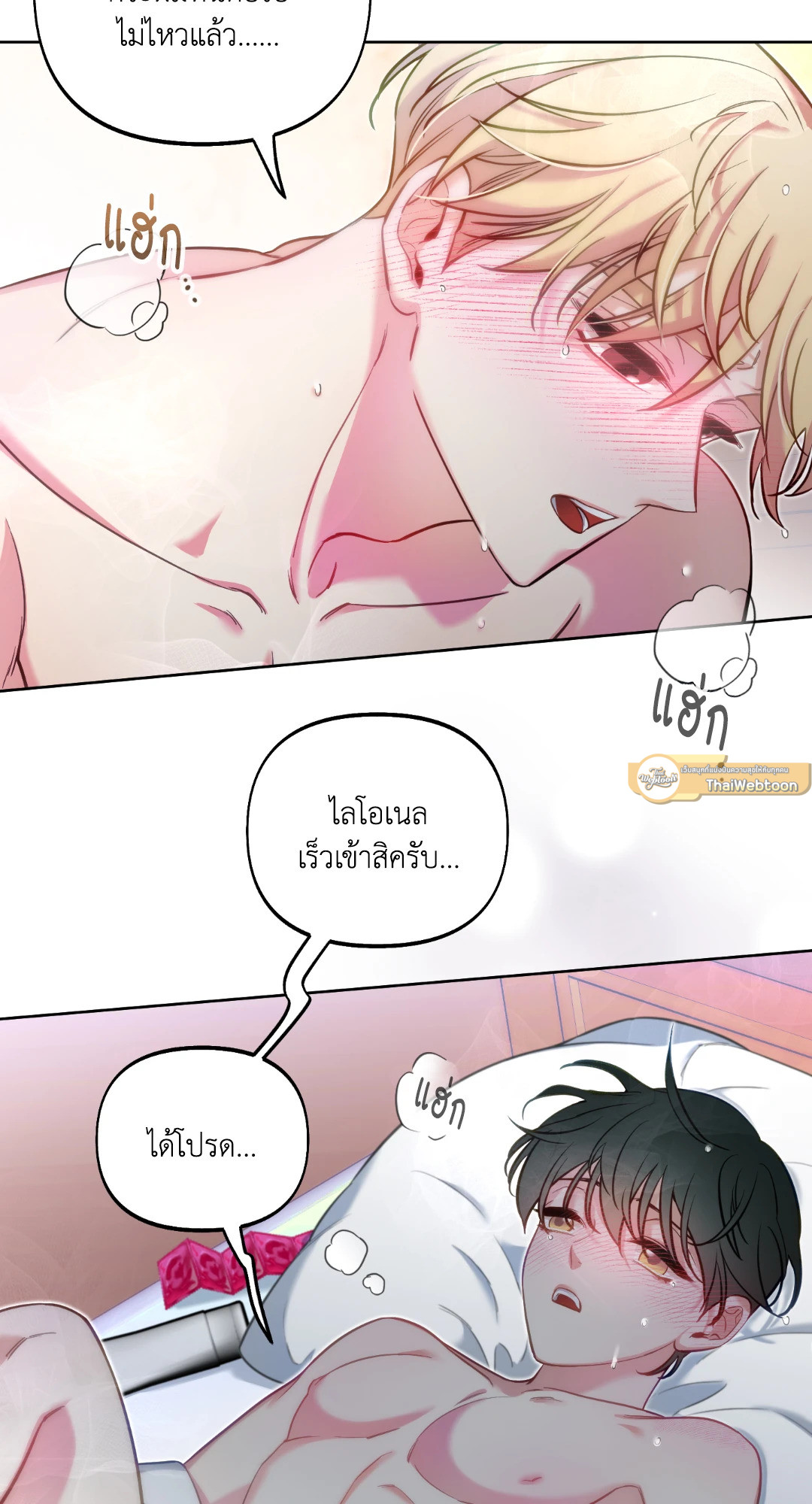 หน้า 61