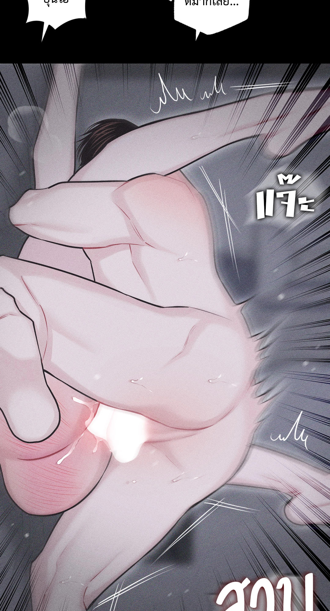 หน้า 81
