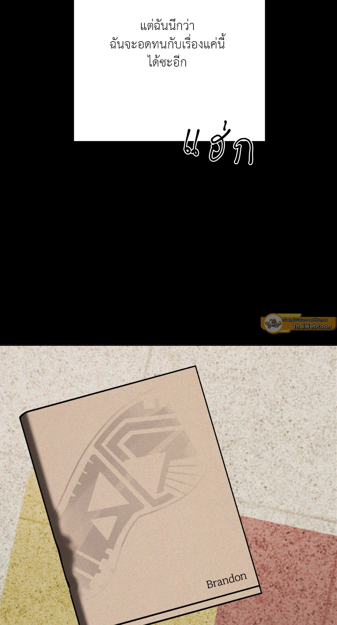หน้า 43