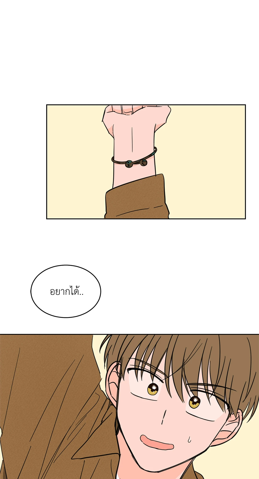 หน้า 43