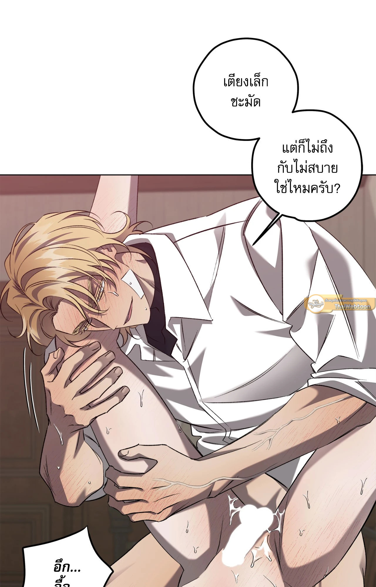 หน้า 33