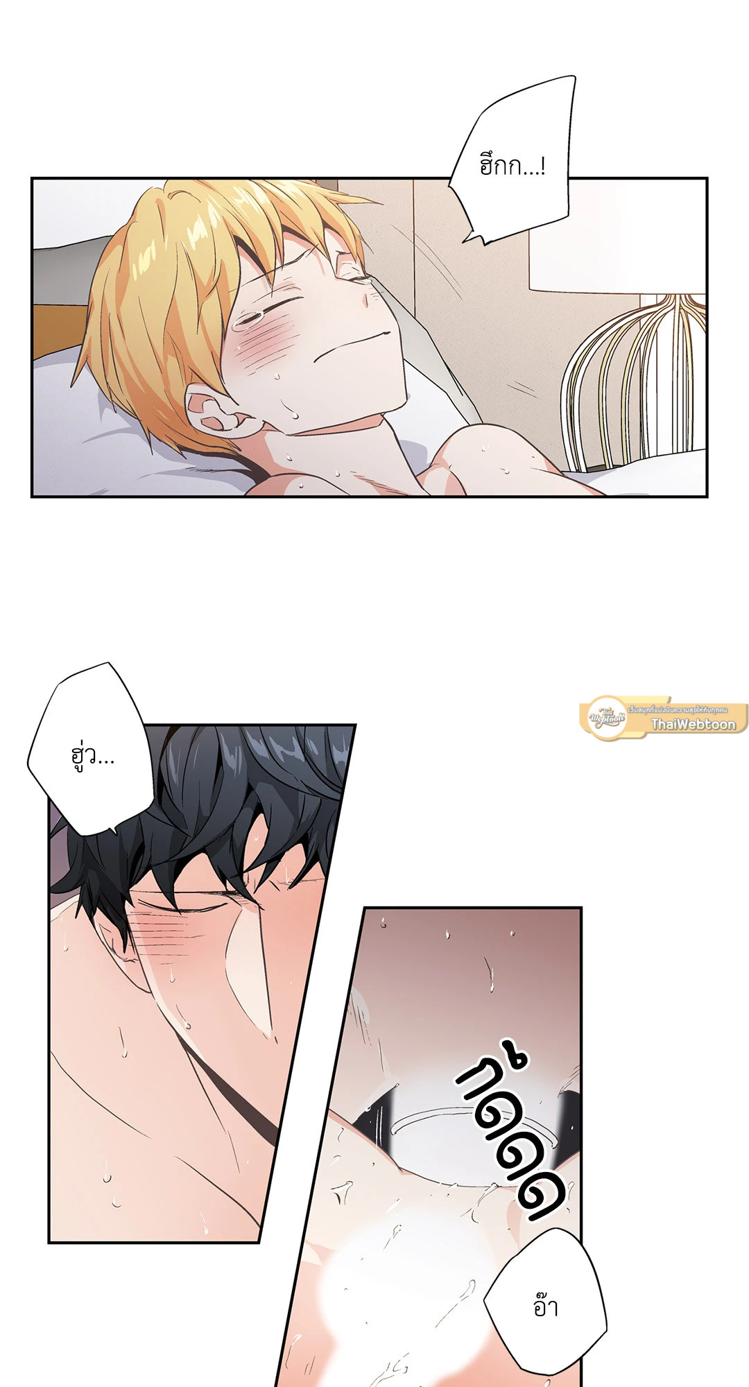 หน้า 31