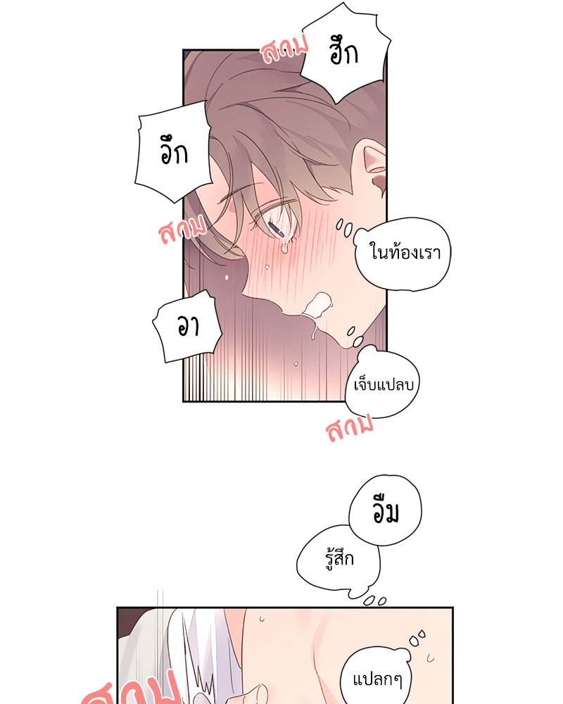 หน้า 44