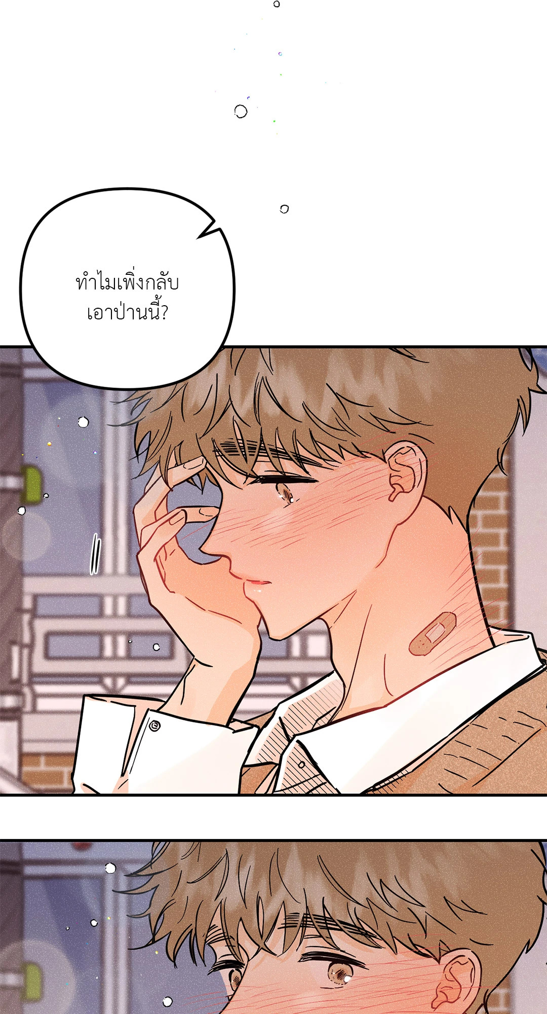 หน้า 41