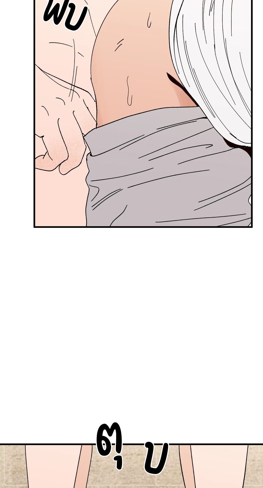 หน้า 43