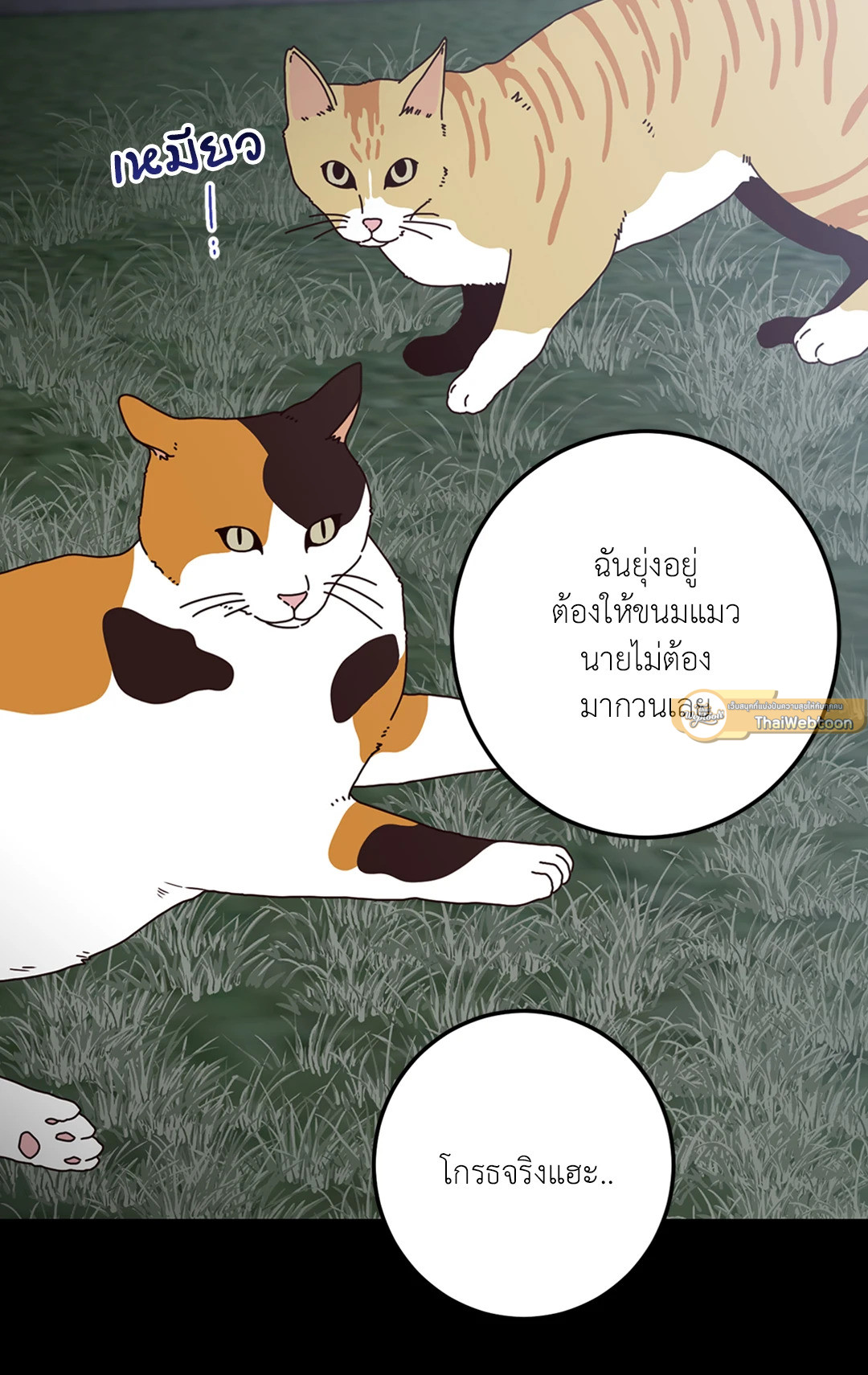 หน้า 53