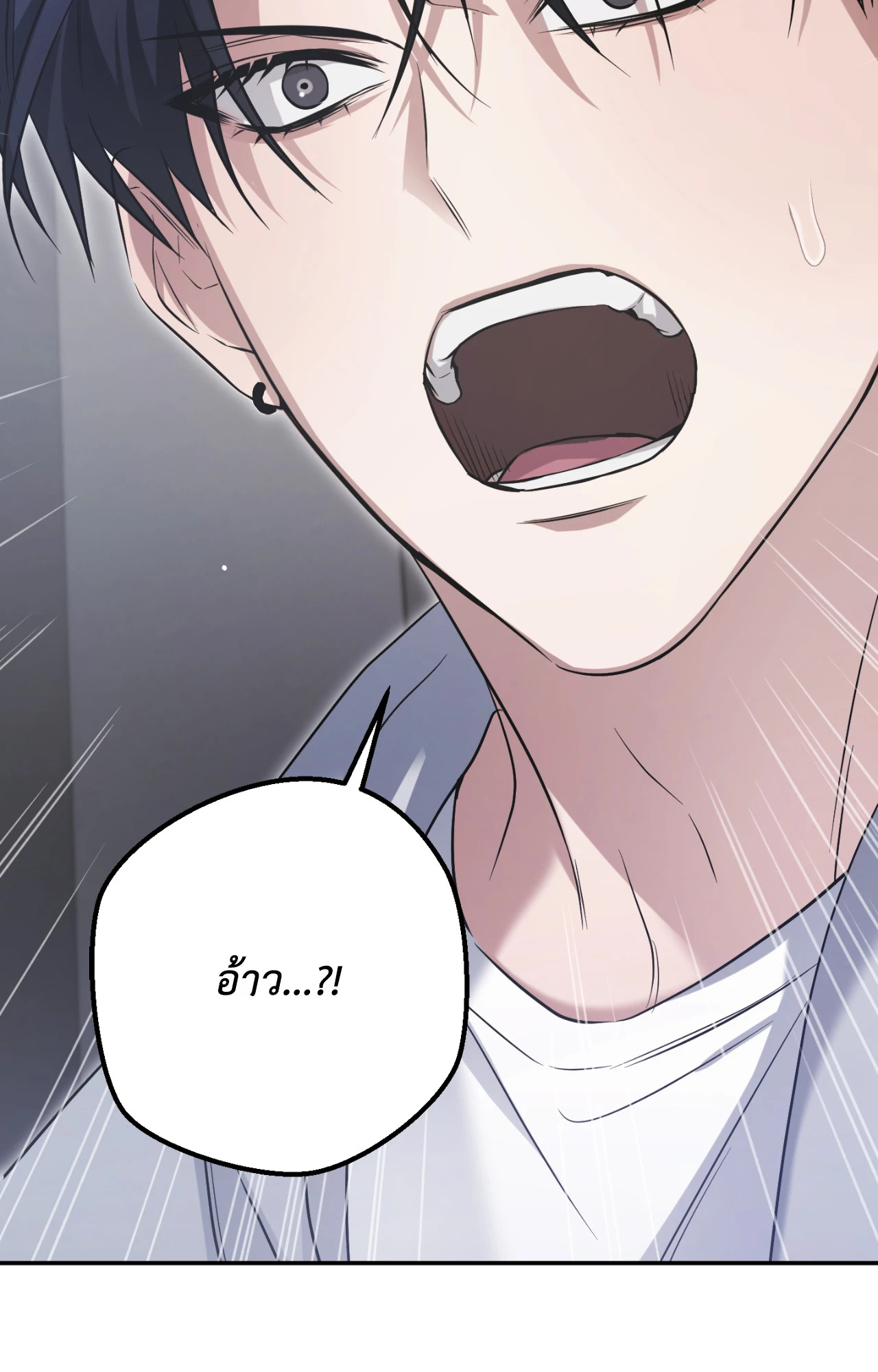 หน้า 95