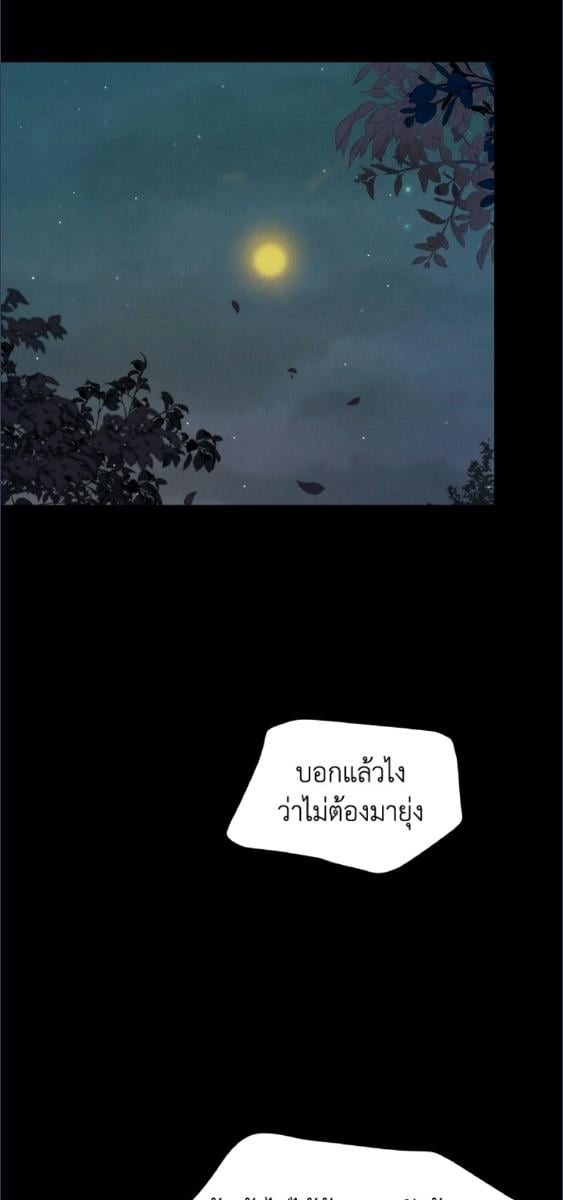 หน้า 95