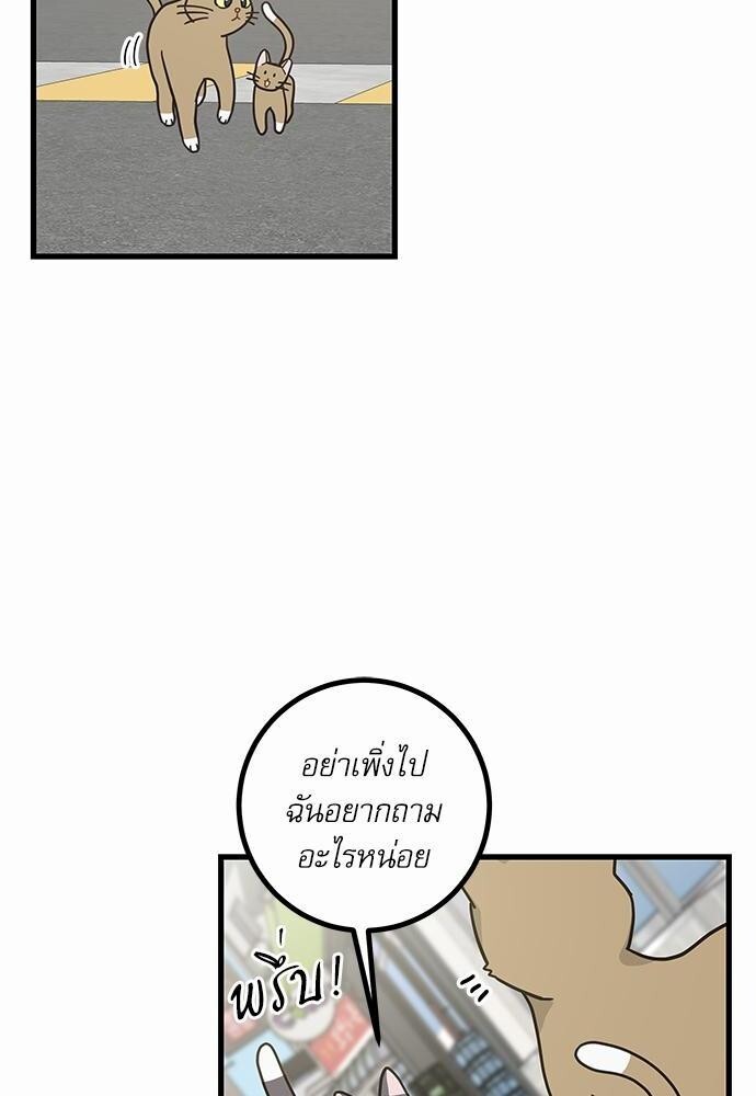 มารักกับเหมียวมั้ยครับ | My One and Only Cat ตอนที่ 21 - รูปที่ 2