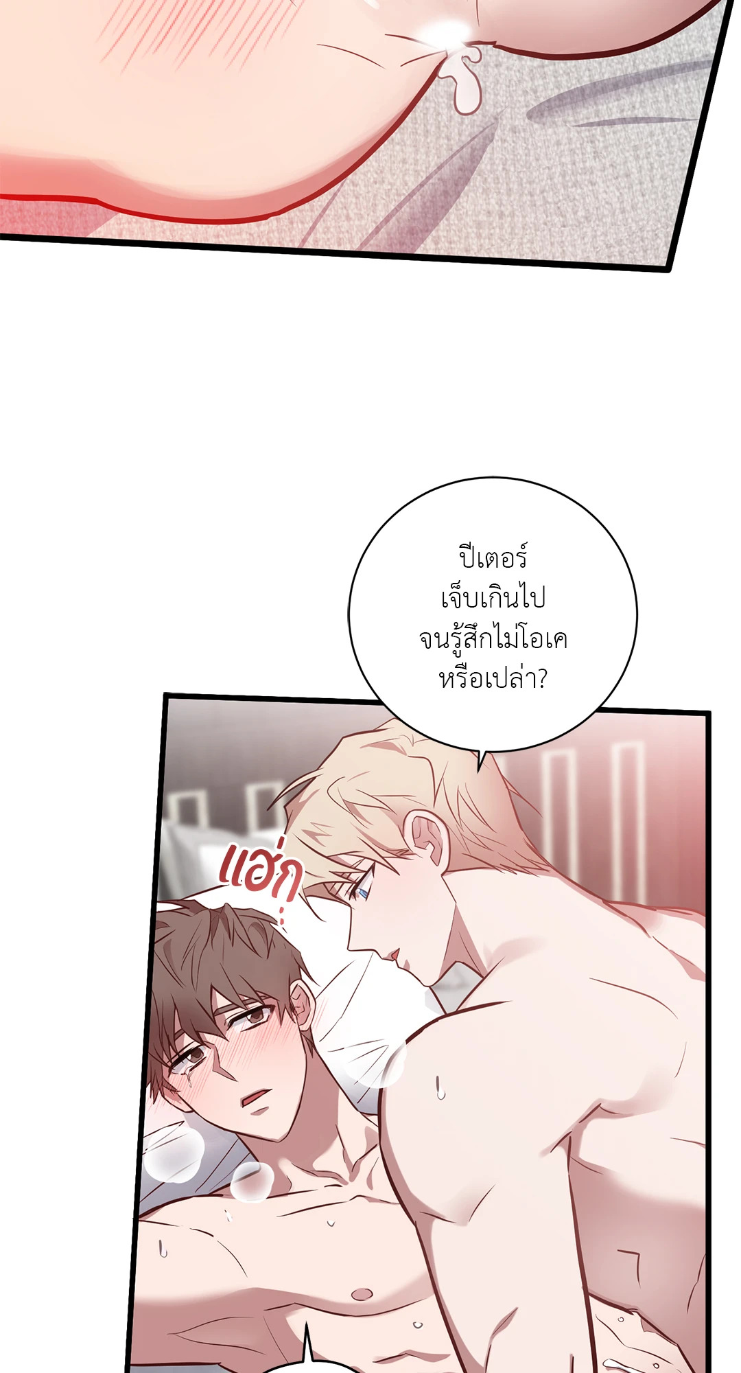 หน้า 43