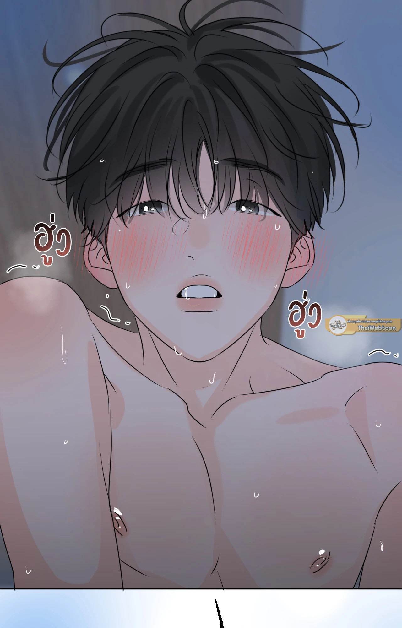 หน้า 117