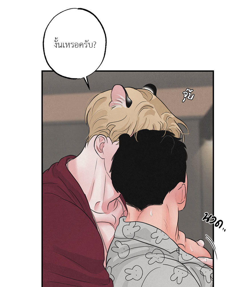 หน้า 43