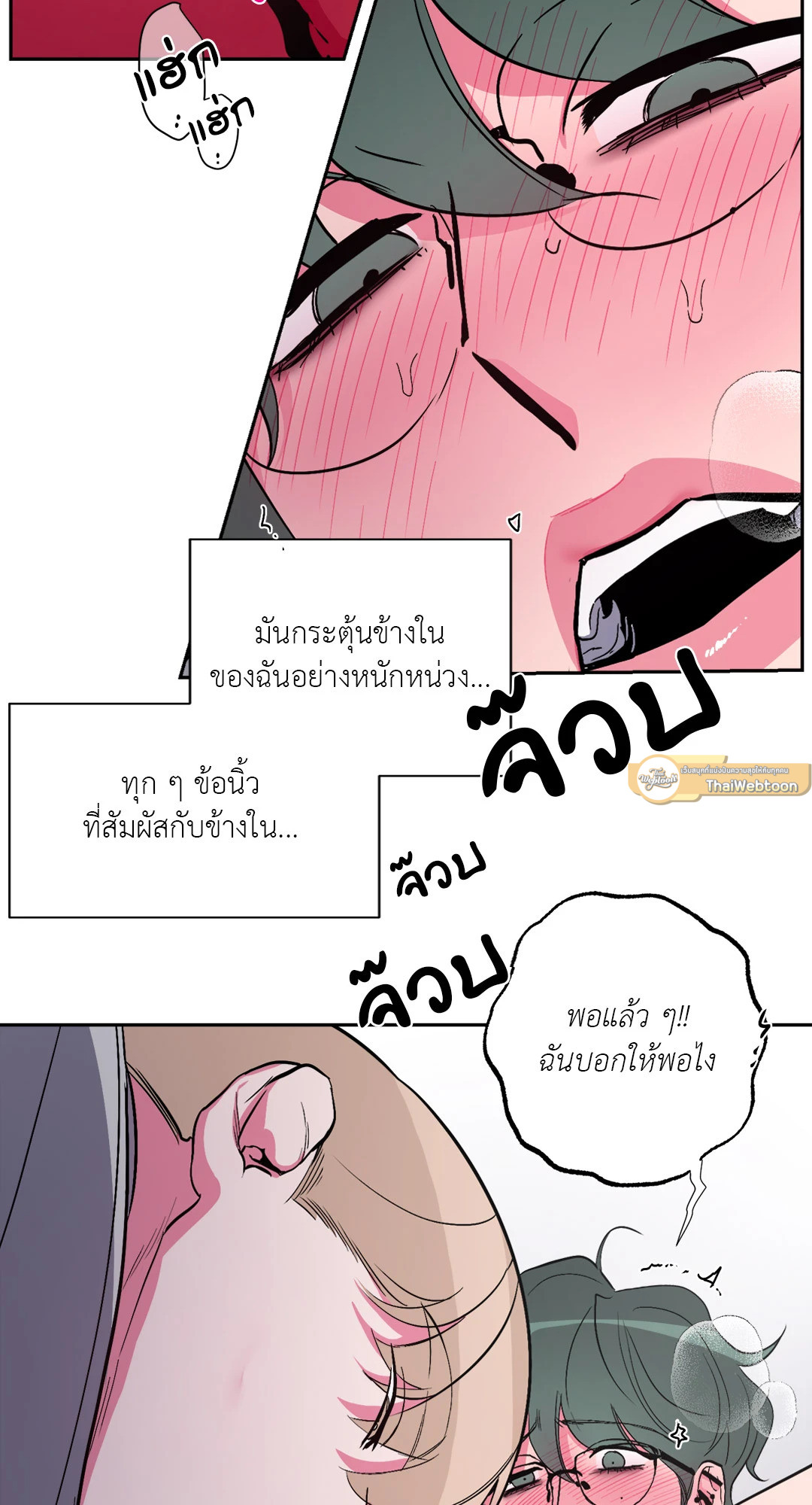 หน้า 51