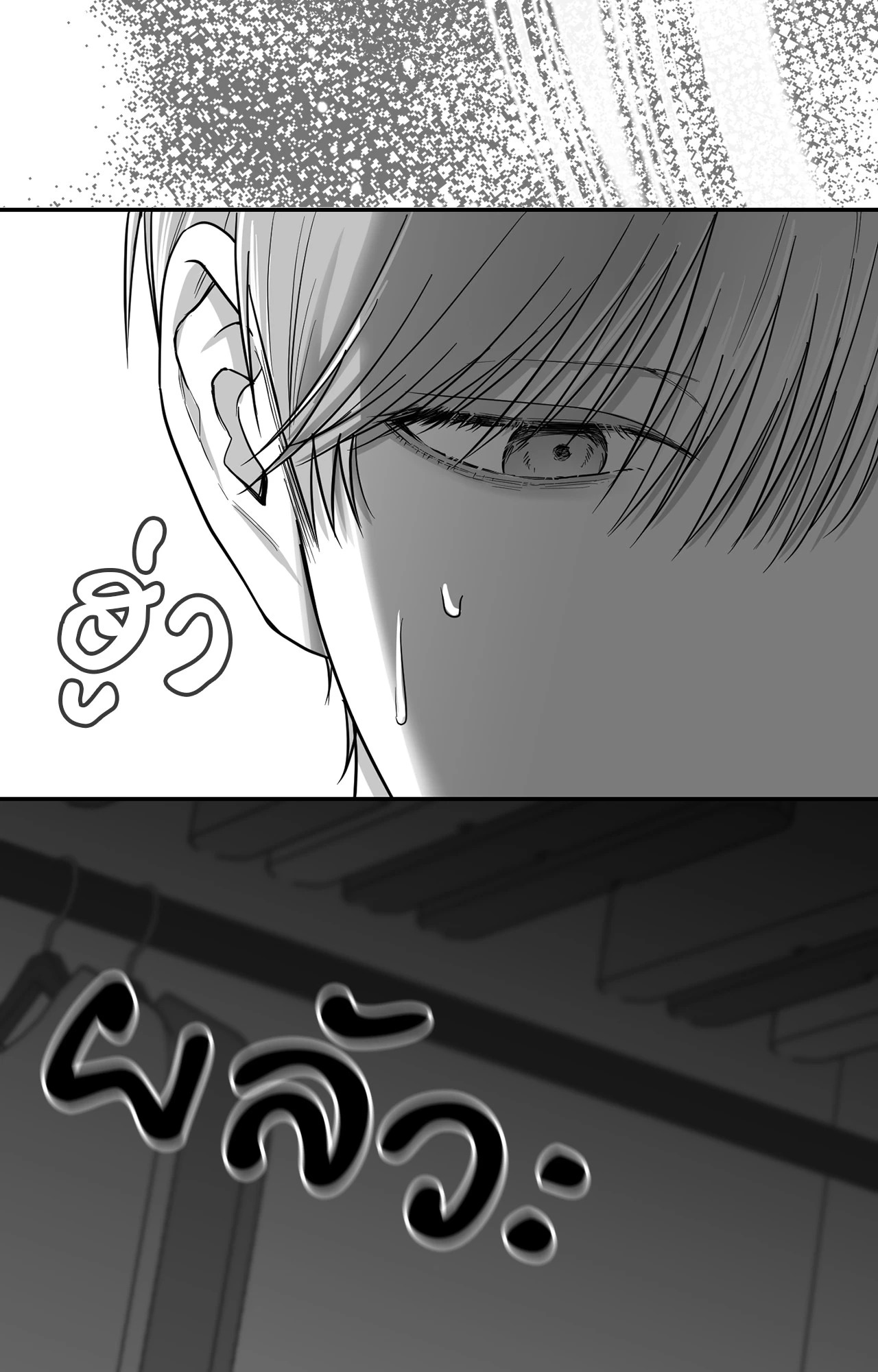 หน้า 81