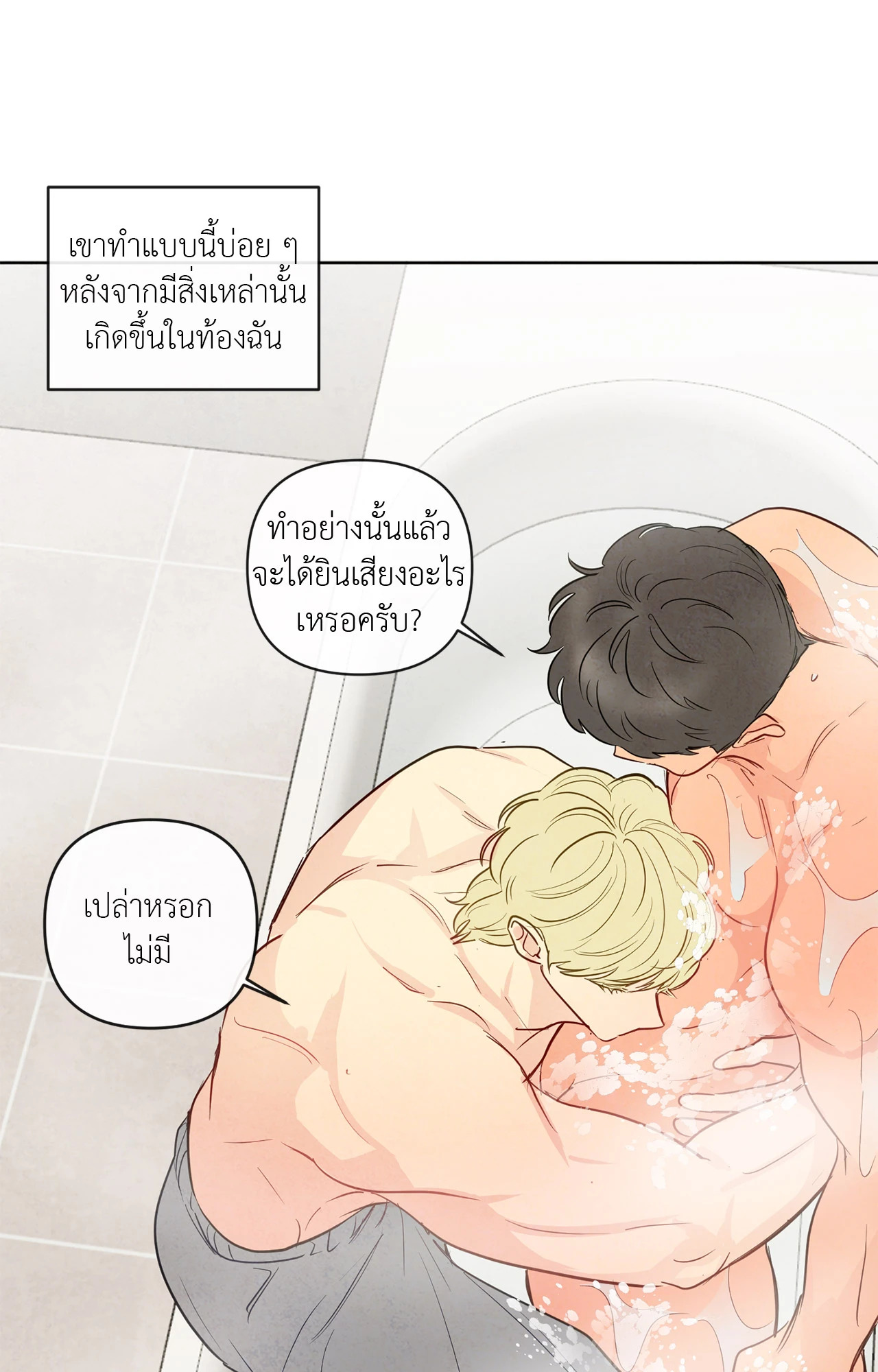 หน้า 43