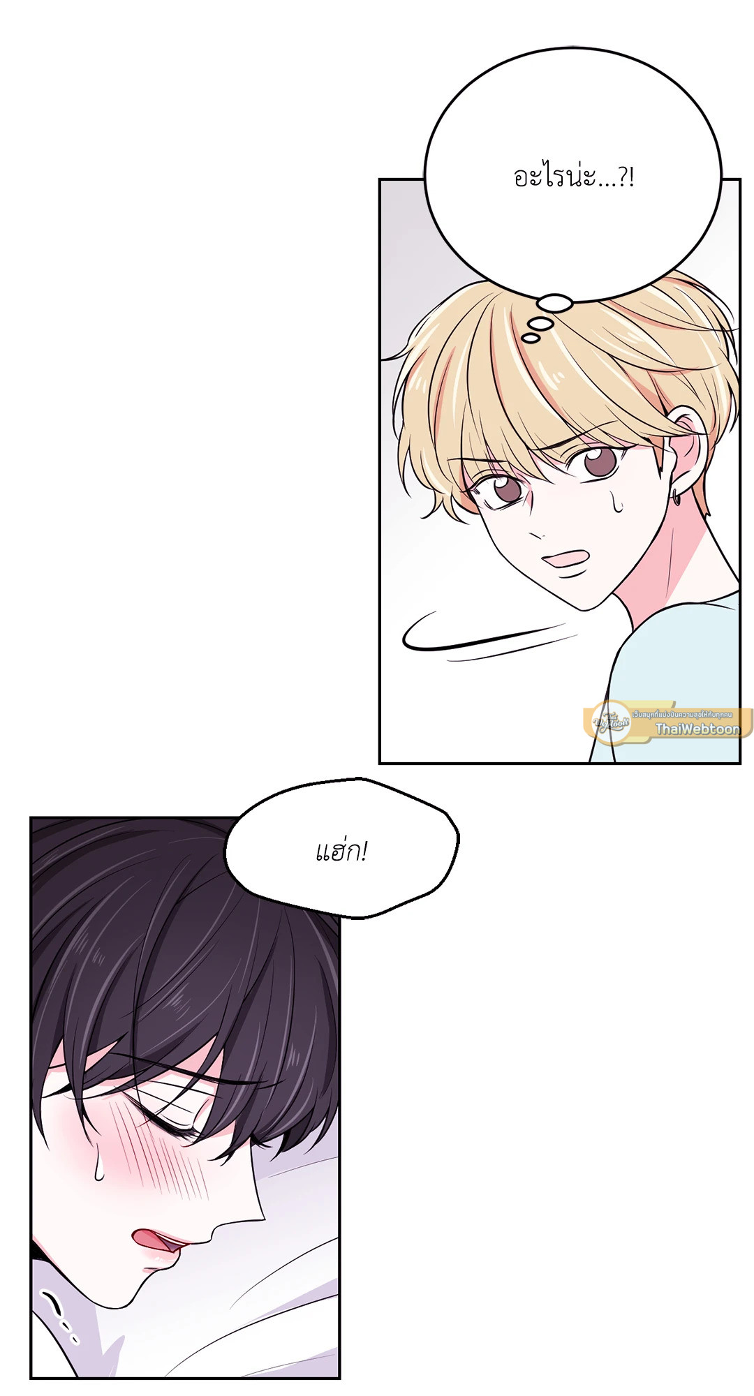หน้า 52