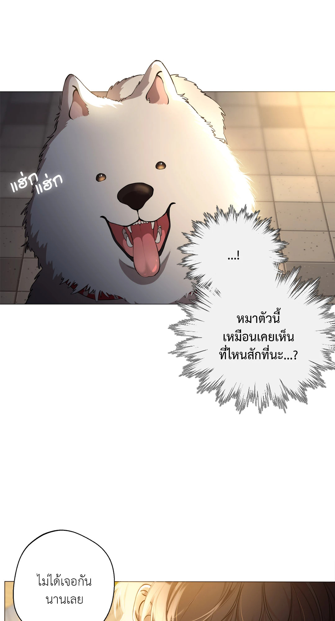 หน้า 54