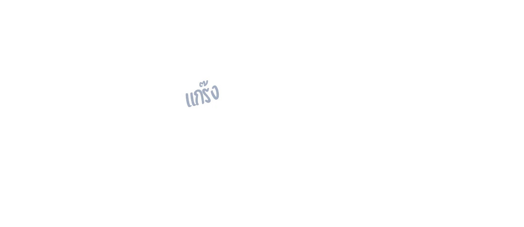 หน้า 100