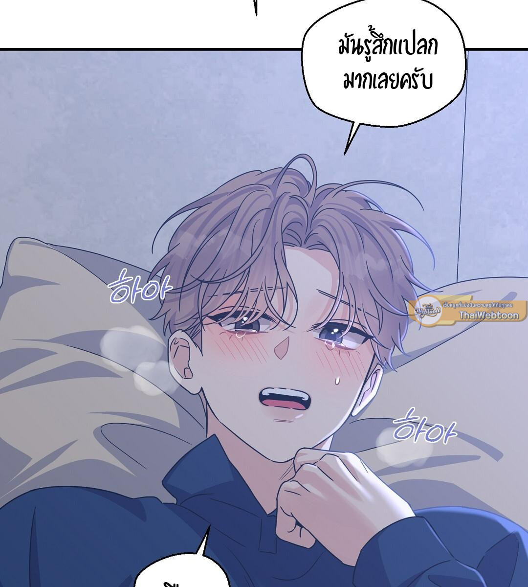 หน้า 85