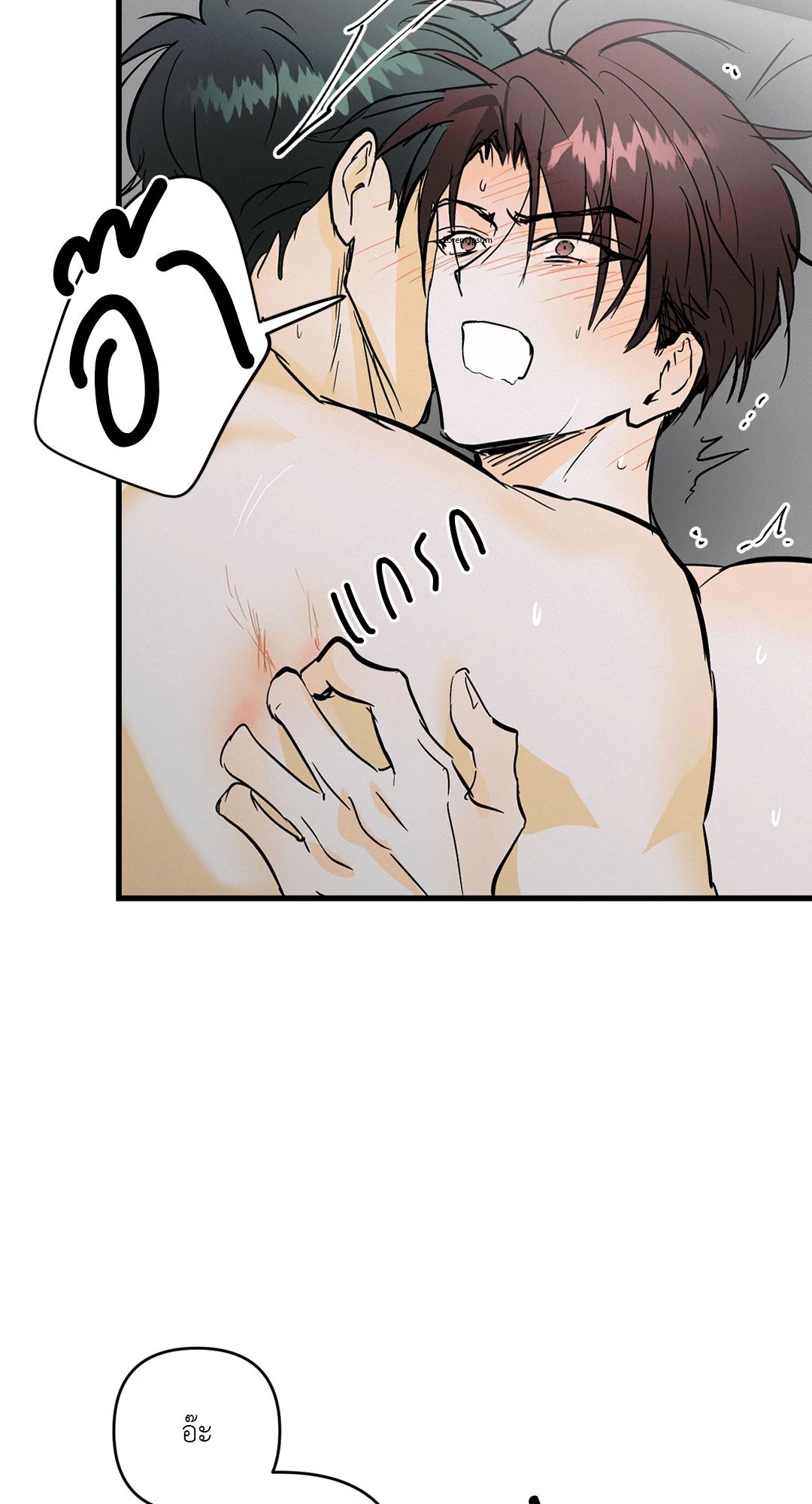 หน้า 43