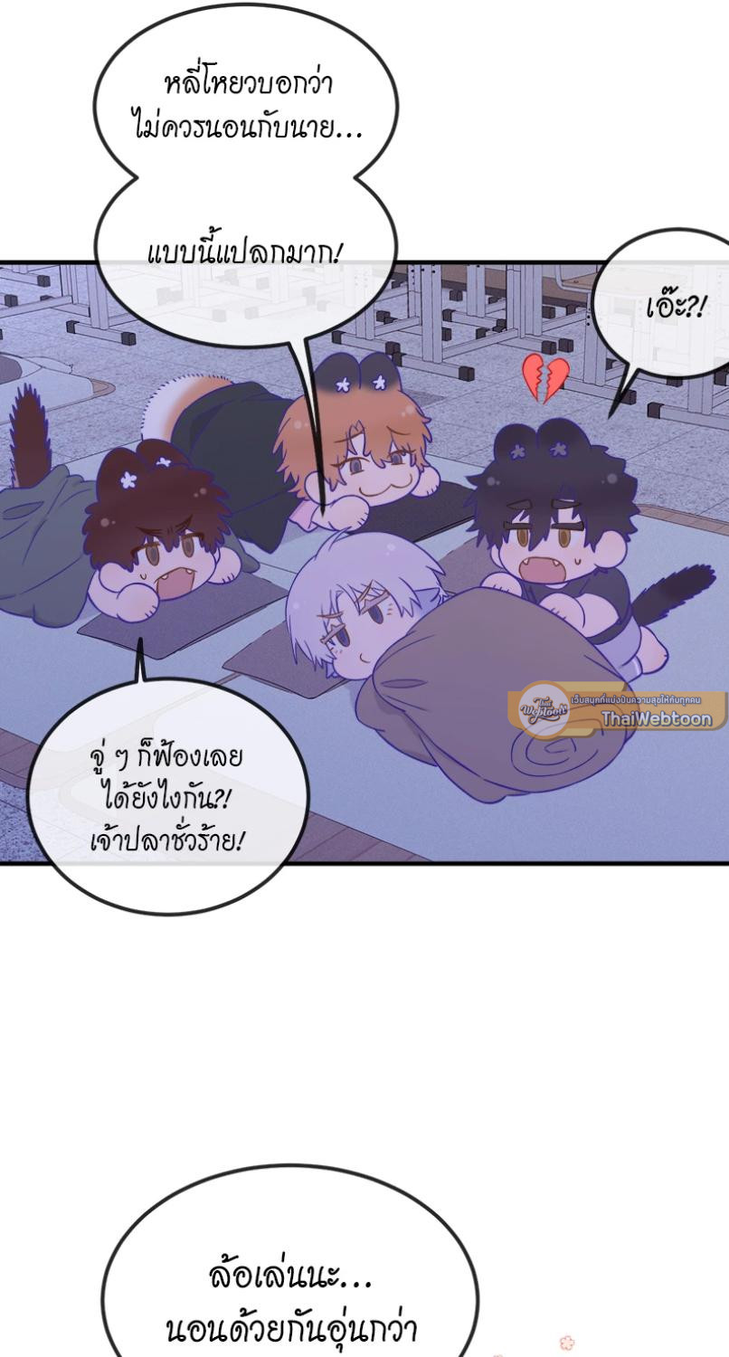 หน้า 41