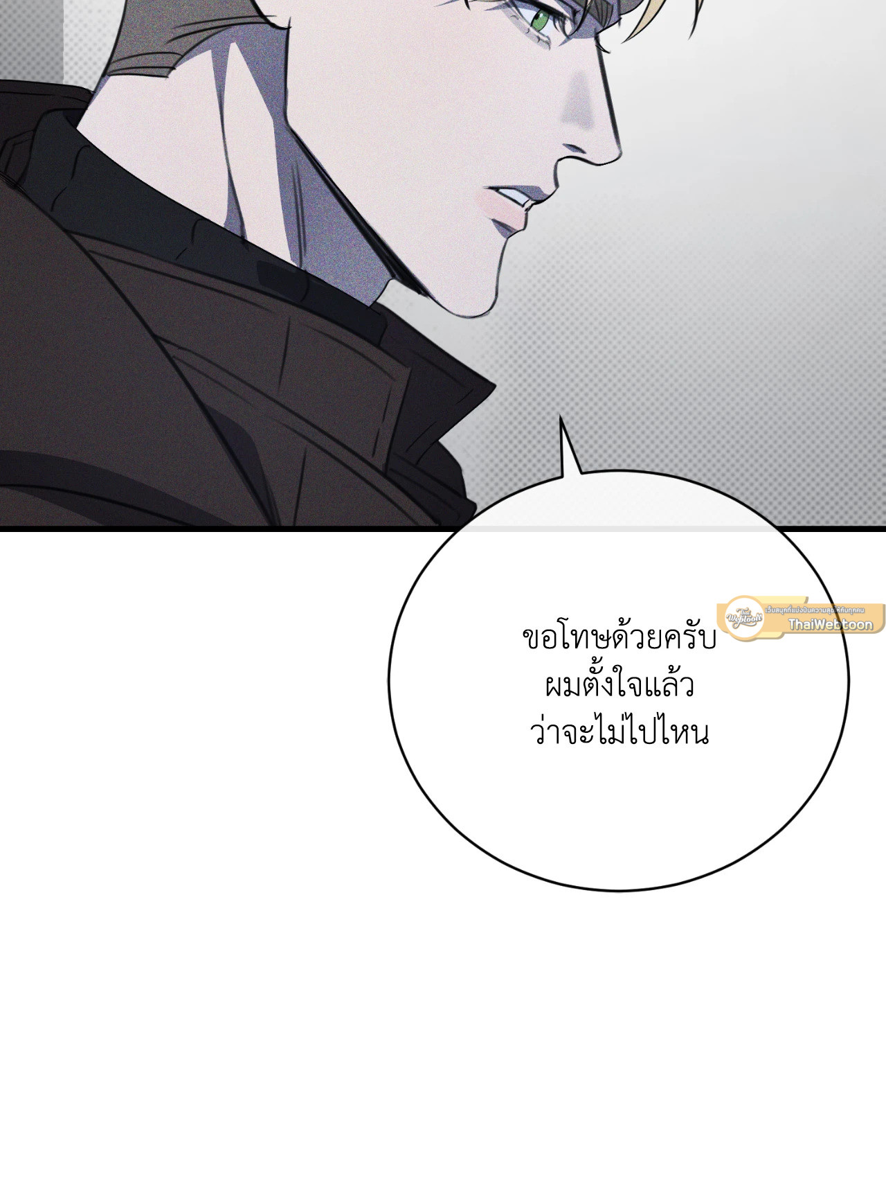 หน้า 101